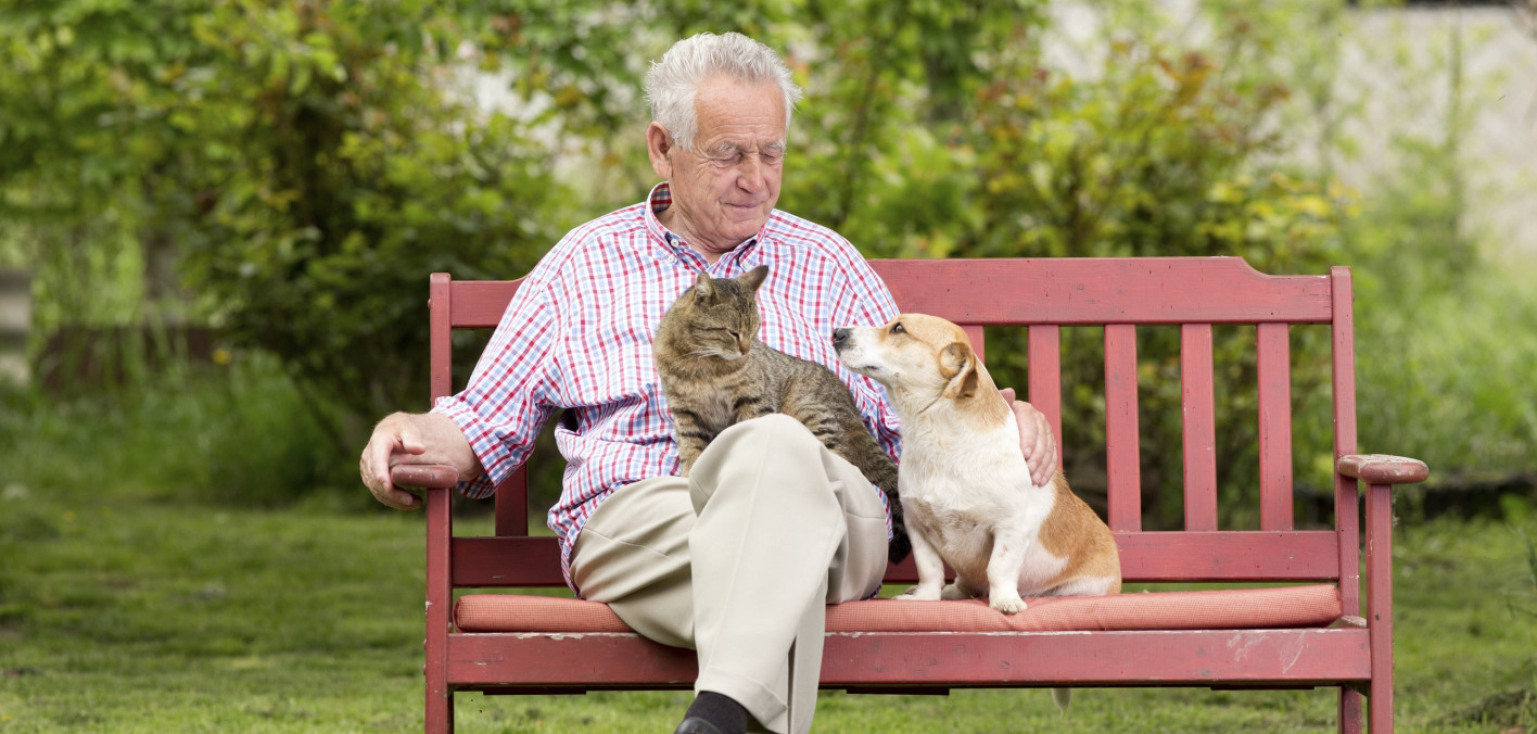 Advice—and Videos—on Keeping Your Pets if You Have Cancer Cancer Health