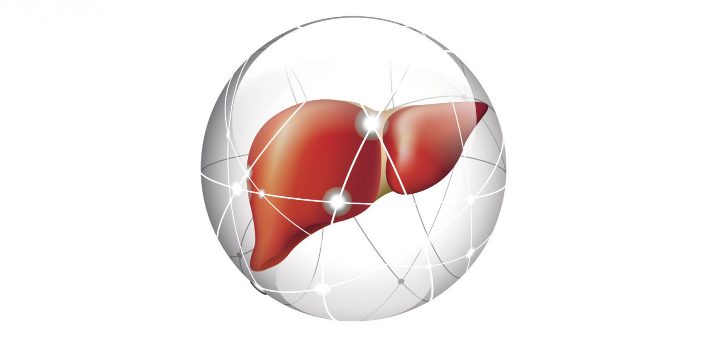 135782_liver-circle-rect.
