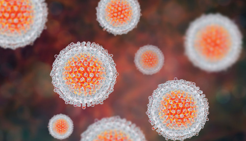 Hepatitis C virus model, 3D illustration.