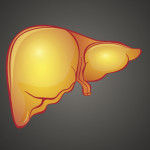 fatty liver