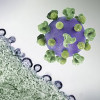 colorized 3D print of an HIV virus particle (purple with green surface proteins) and a background image that is a colorized transmission electron micrograph of HIV virus particles (purple) budding and replicating from an H9 T cell (green).