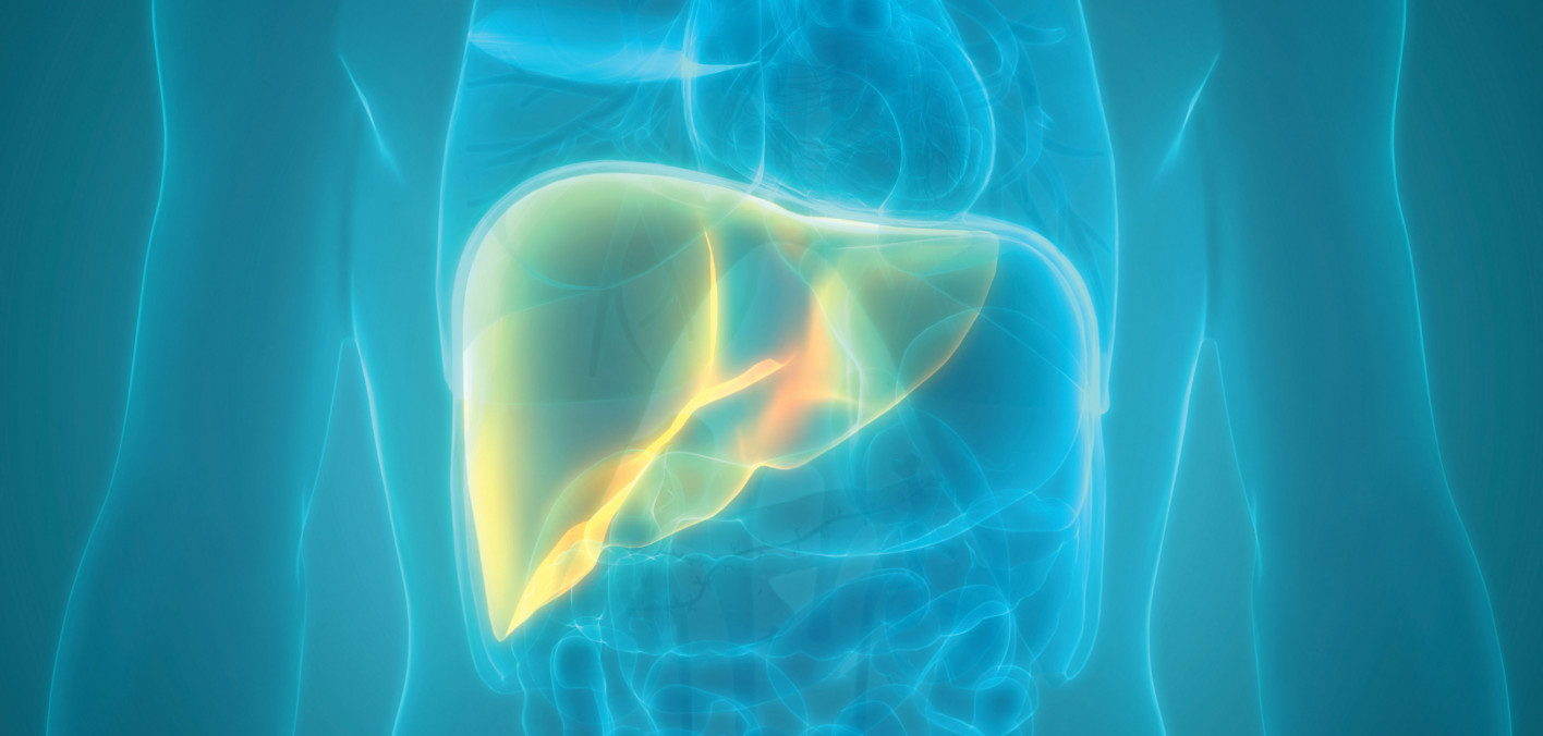 New Drug Candidate Reverses Metabolic Liver Disease and Fibrosis