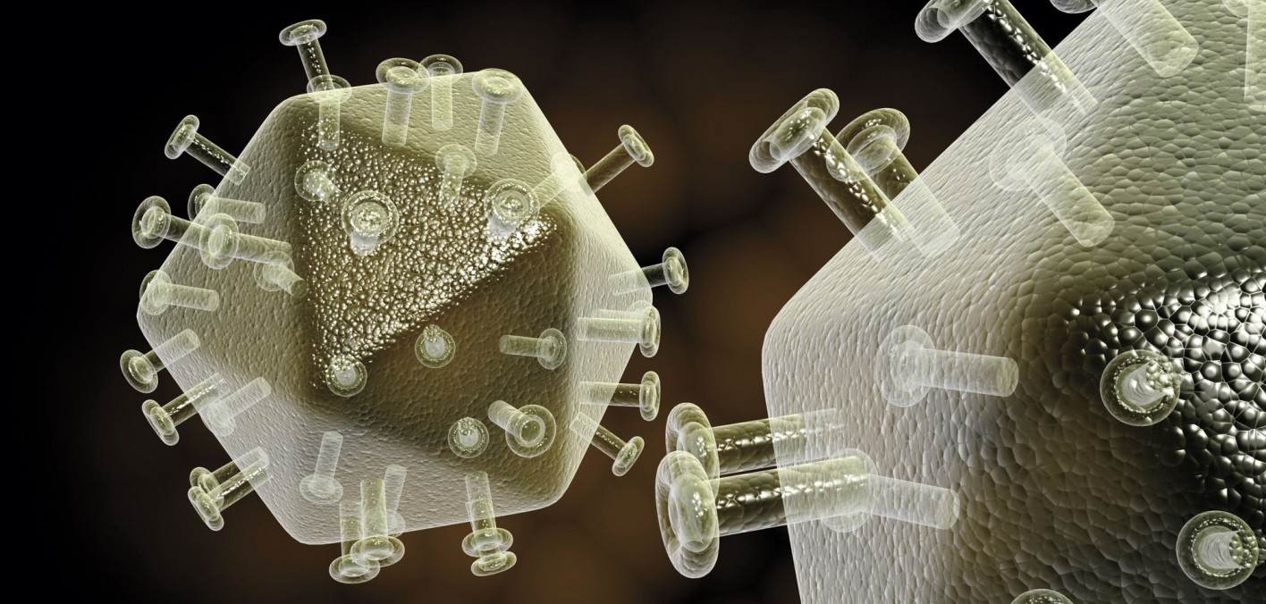 Researchers Describe Exceptional Elite Controller in Spain