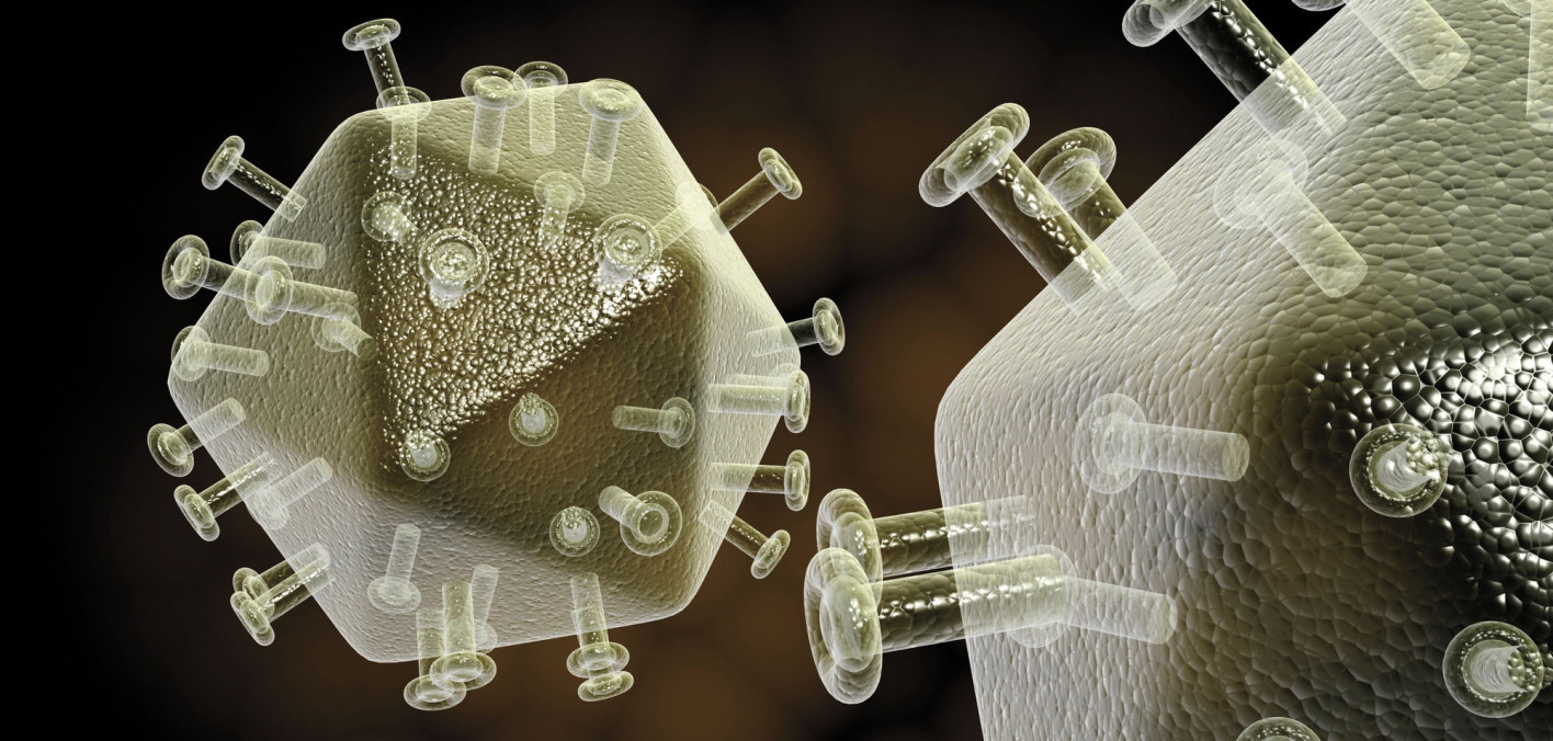 Photo: Cancerhealth Cancer Medication Helps Reduce SIV Reservoir, Increases Hope for HIV Cure