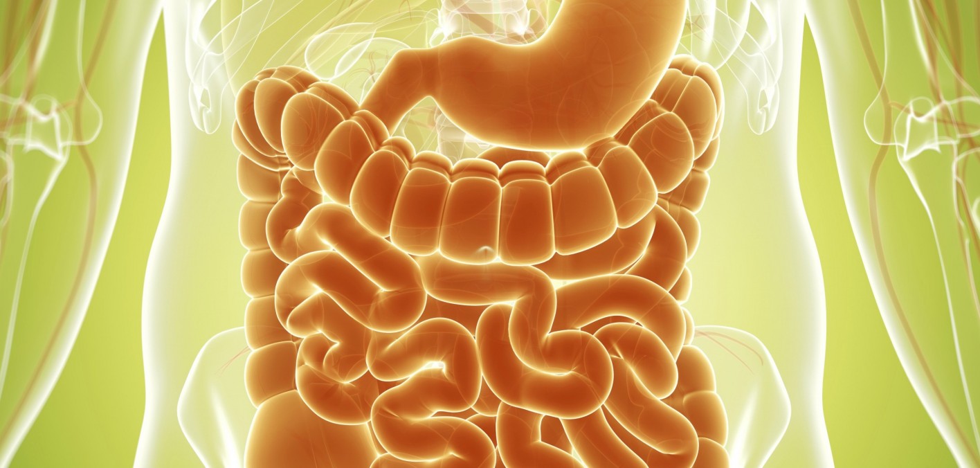 I'm HIV positive and often deal with gastrointestinal problems. Any advice? POZ