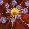 T cells attack a cancer cell