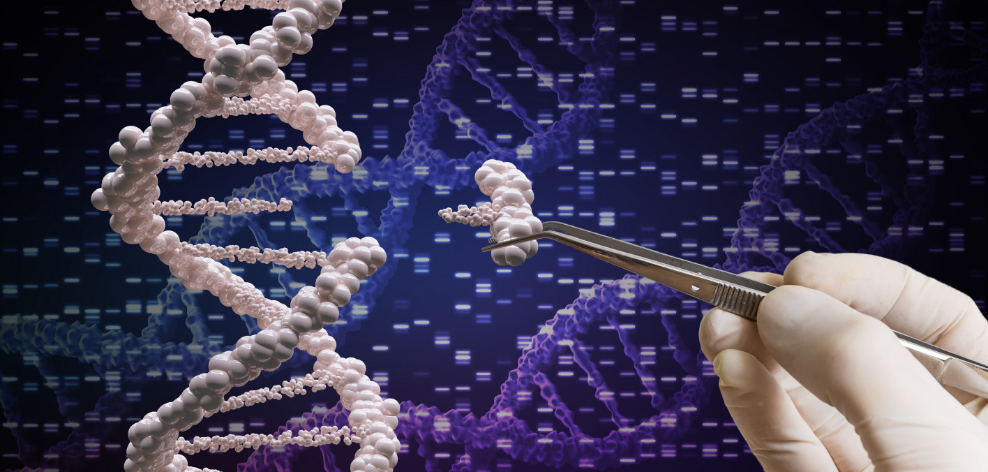CRISPR Gene Therapy Appears Feasible for Cancer Treatment Cancer Health