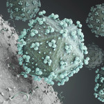 hiv virus